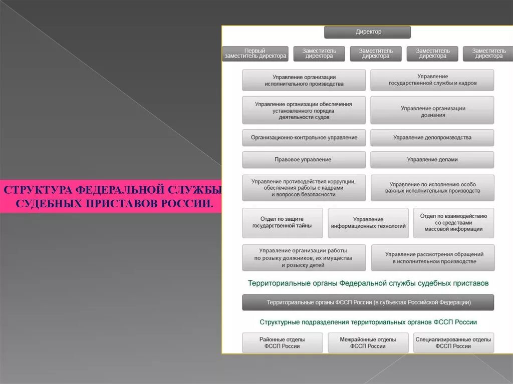 Органы фссп рф. Структура управления ФССП России. Система и структура органов ФССП России. Структура Федеральной службы судебных приставов РФ. Структура ФССП России схема.