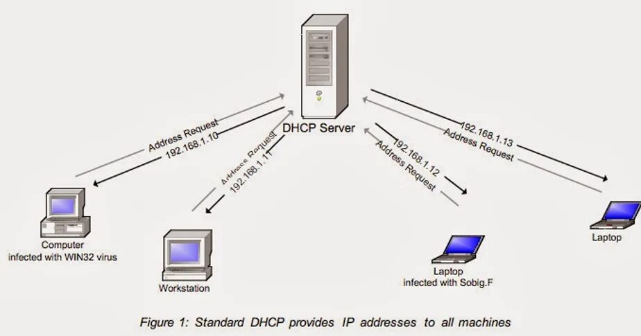 Dhcp: протокол динамического конфигурирования узлов. Адрес на английском языке. Services we provide. We provide addresses. G helper настройка.