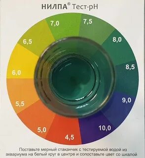 Как понять 20