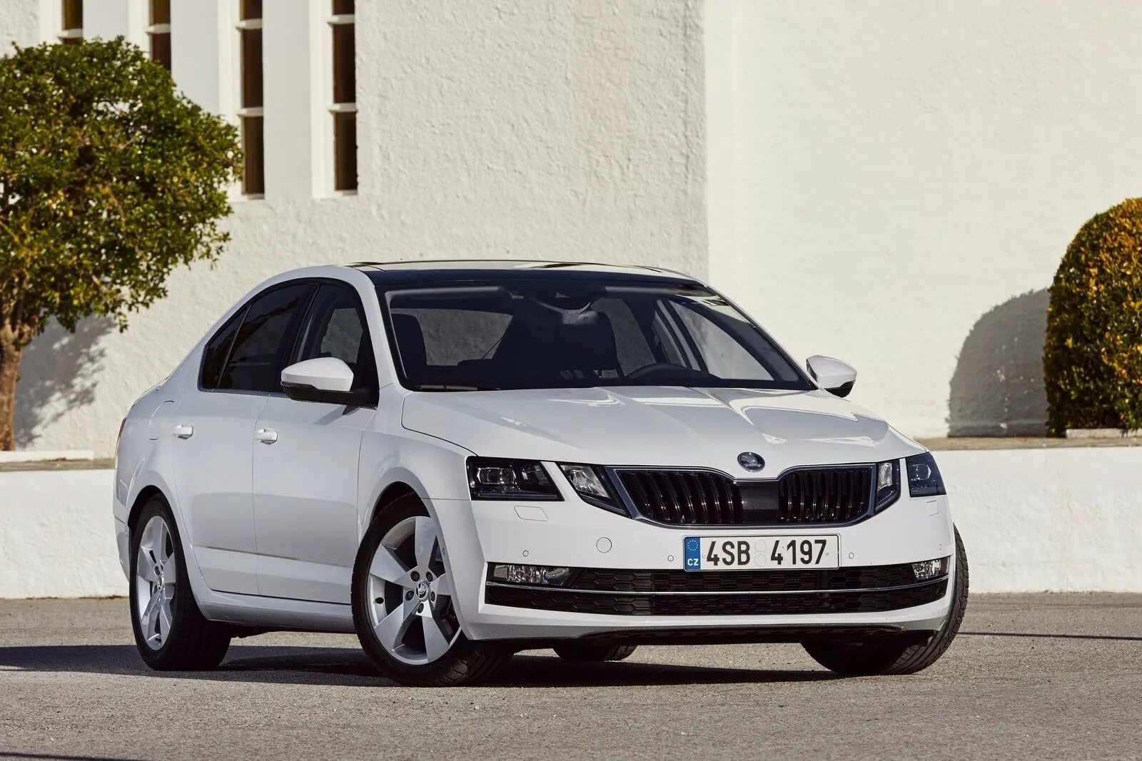 Шкода лс. Skoda Octavia 19.