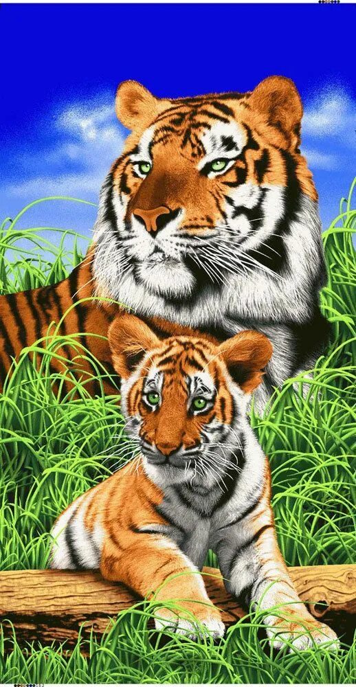 Полотенце банное с тигром. Полотенце с тигром в джунглях. Тигр Бич. Банное полотенце с тигром 2000. Полотенце с тиграми