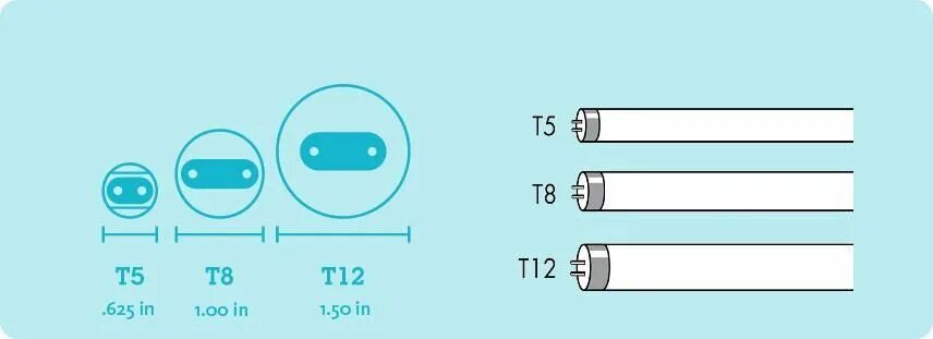 T 5с. Лампа t5 отличие от t8. Тип колбы t6 и t8 отличия. Тип колбы: t8. Цоколь t12.