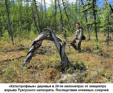 Тунгуский