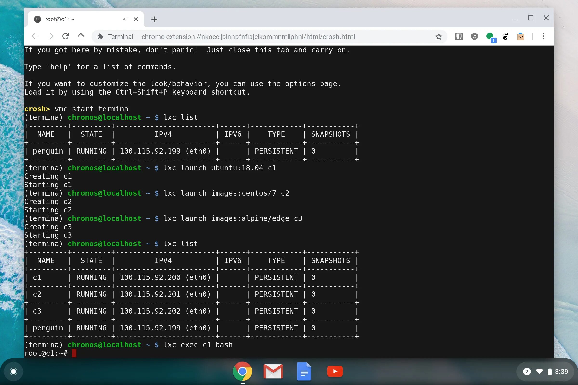 Команда терминал собрать проект Terminal os