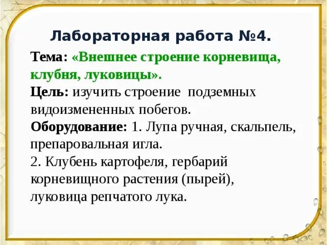 Клубни корневища луковицы лабораторная работа. Лабораторная работа №4 внешнее строение корневища,клубня и луковицы. Внешние строениекорневища клубня. Лабораторная работа строение корневища. Лабораторная работа внешнее строение корневища клубня и луковицы.