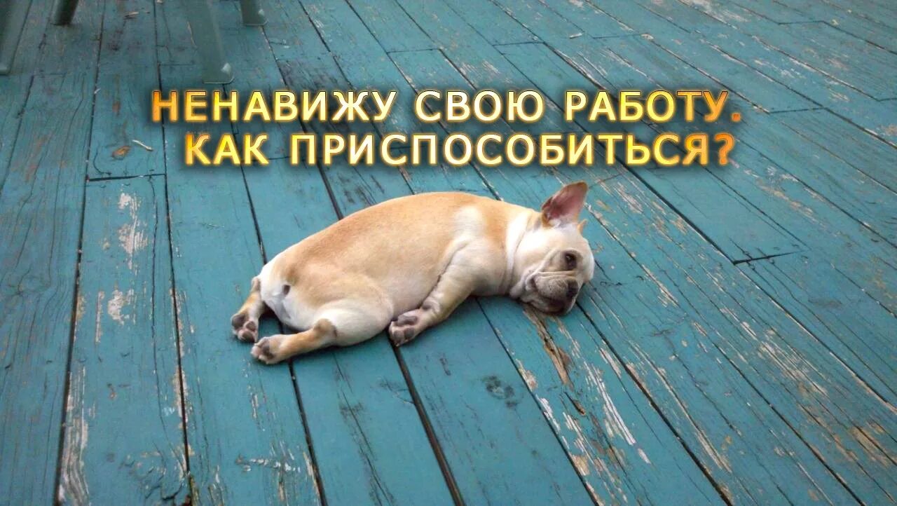Навязчивый продавец. Шутки про переработку. Что делать если ненавидишь свою работу. Иногда ненавижу вставать с утра. Ненавижу коллектив на работе.
