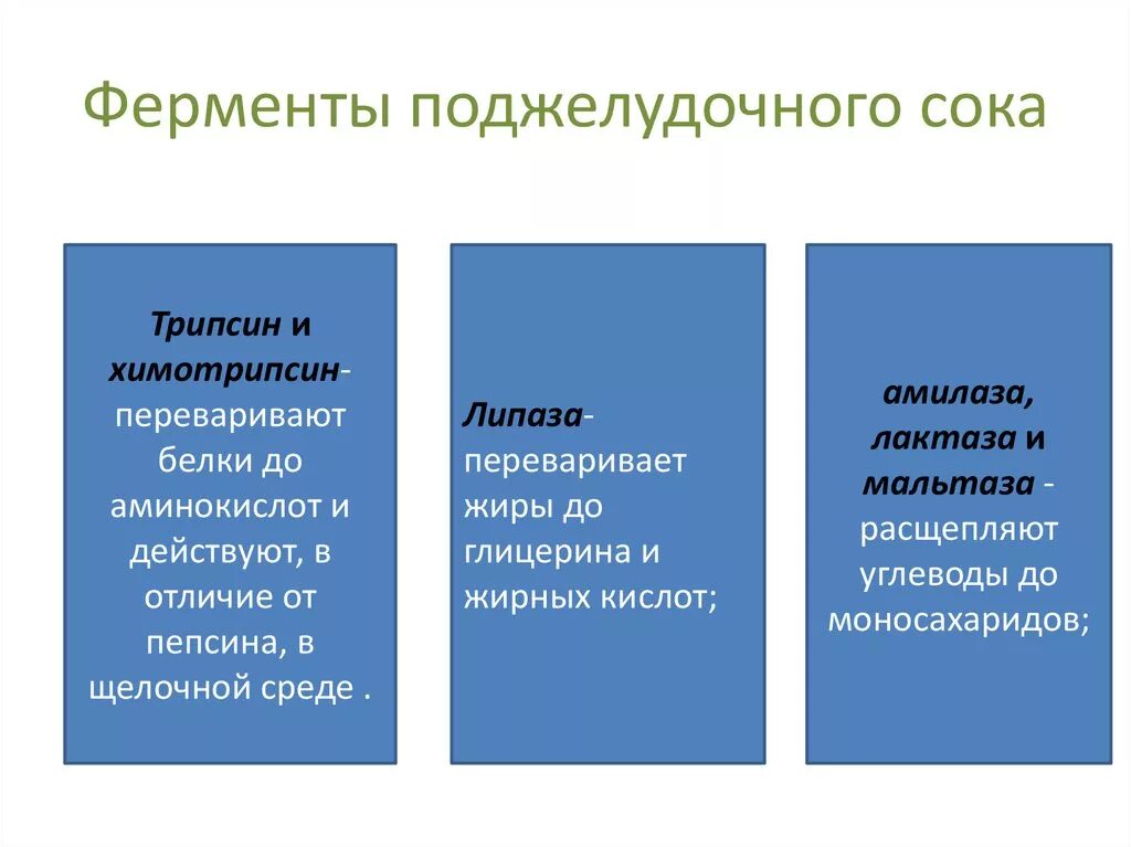 Какие ферменты в панкреатическом соке. Ферменты панкреатического сока и их функции. Ферменты панкреатического сока таблица. Фермент кишечного сока трипсин. Ферменты сока поджелудочной железы расщепляют.