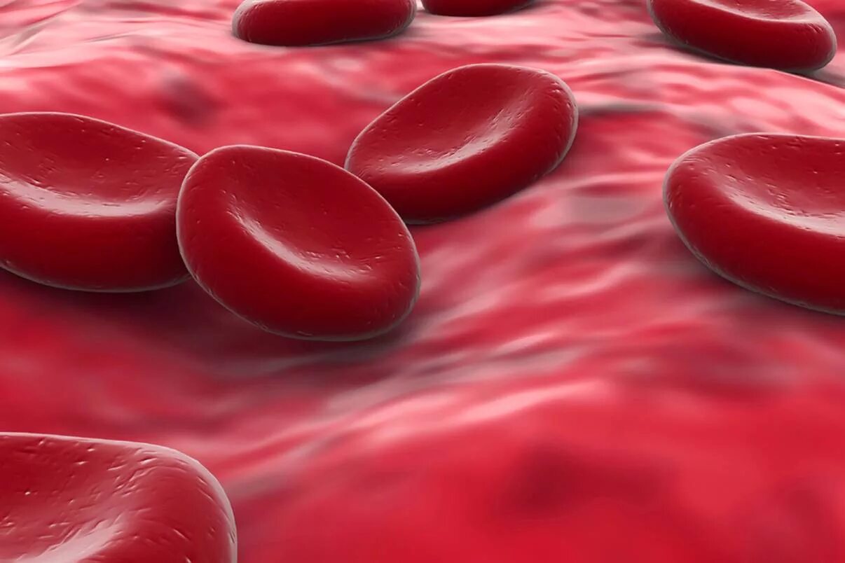 Густая кровь в организме. Клетки крови. Красные кровяные клетки.