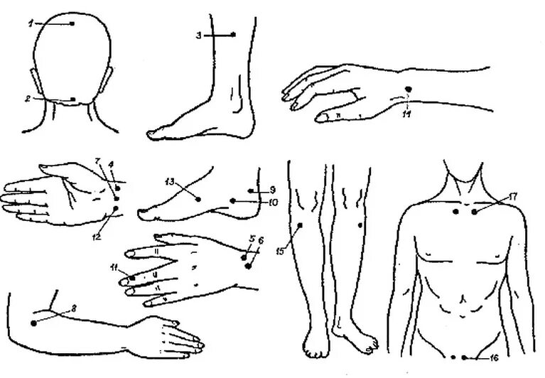 Основа точечного массажа. Акупунктурные точки для понижения давления. Акупрессура точечный массаж акупунктура. Точечный массаж (точки Жень-Чжун. Чэн-Цзян).. Точечный массаж от давления при гипертонии.