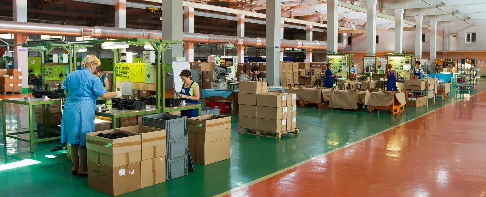 Аутокомпонент инжиниринг-2 октябрьск. Саверио вердучи. Ооо пт2 инжиниринг печать. Аутокомпонент инжиниринг. Аутокомпонент инжиниринг-2 октябрьск.