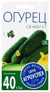 Огурец св 4097 f1 отзывы