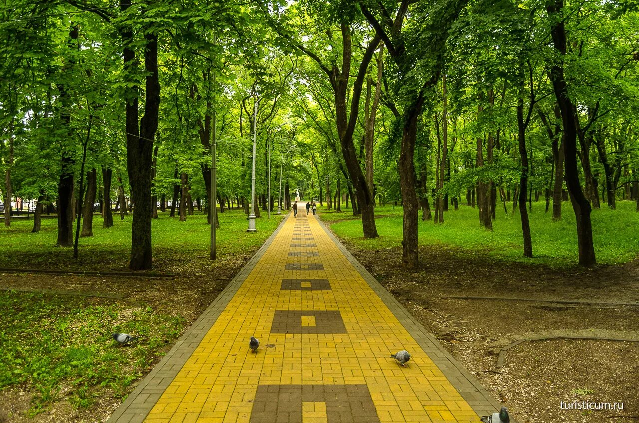 Ессентуки парк. Курортный парк Ессентуки. Курортный лечебный парк Ессентуки. Центральный парк Ессентуки. Ессентуки Нижний парк.