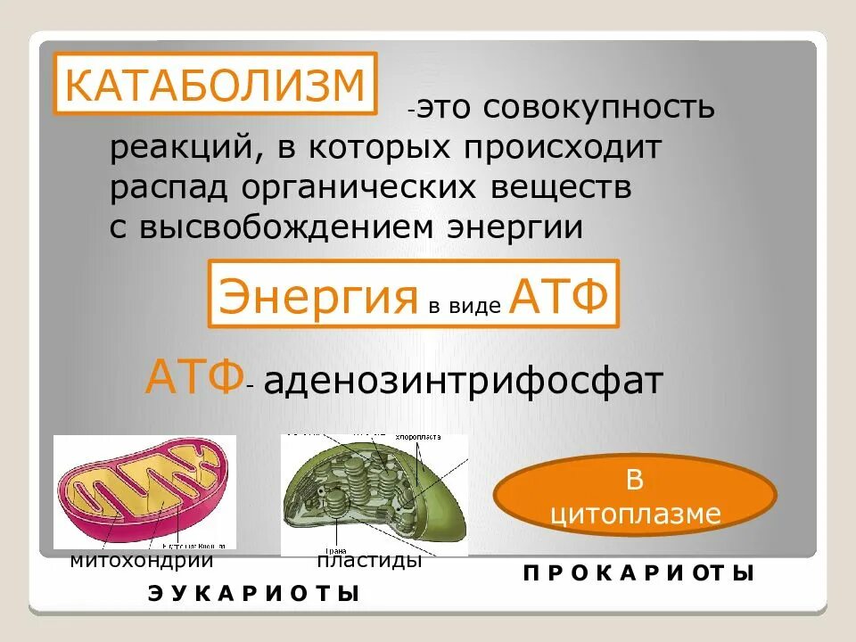 Реакция распада веществ энергия. Катаболизм это совокупность реакций в которых происходит. Распад органическихтвещестч. Метаболизм совокупность распада органических веществ. Распад органических веществ.