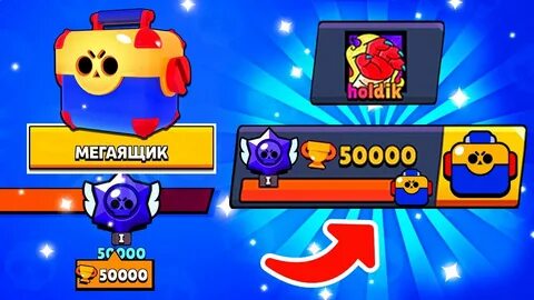 Холдик бс
