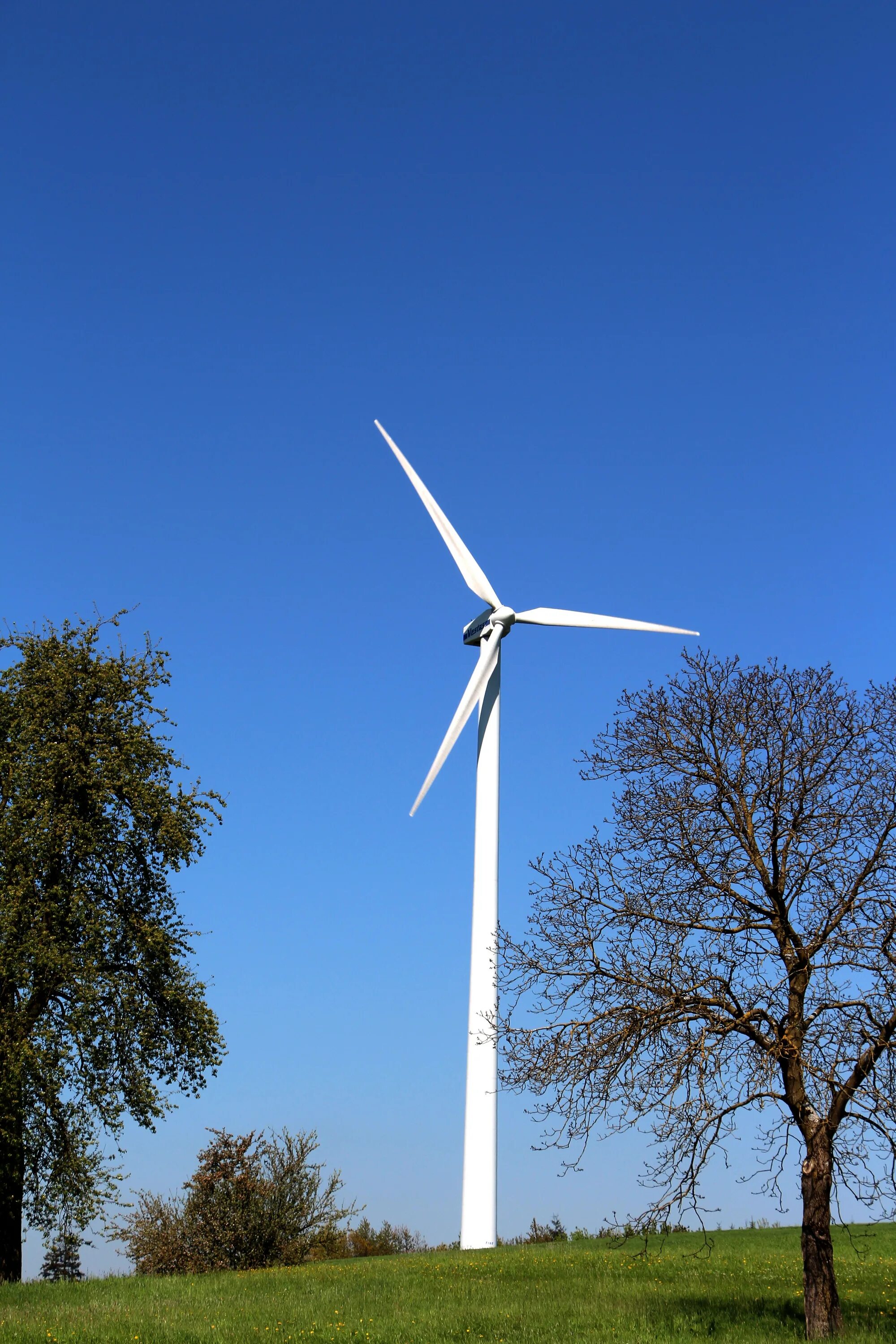 Ветрогенераторы Energy Wind. Тронхейм ветряная мельницы. Ветряная мельница (для преобразования в механическую энергию). Электро ветряк мельница.