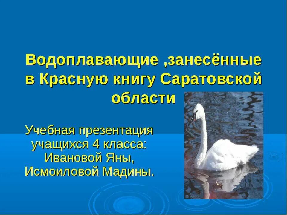 Растения и животные Саратовской области занесенные в красную книгу. Животные красной книги Саратовской области. Животные Саратовской области занесенные в красную книгу. Животное занесенное в красную книгу Саратовской области.