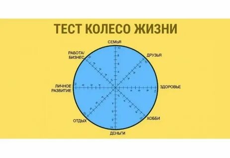 В какое место он это сделал
