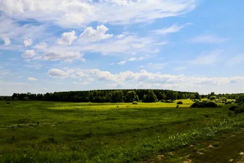 Рельеф омской