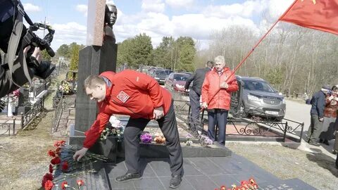 Петрович псков