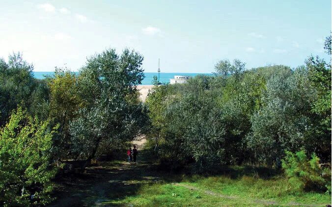 хутор заря анапский район. краснодарский край анапский район хутор заря мира 134. лагерь зори анапы. новая анапа. золотой родник юровка база отдыха.