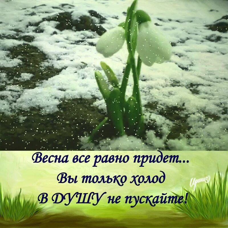 Так и будет каждую весну. Жду весну. фразы про весну. стих про весну.