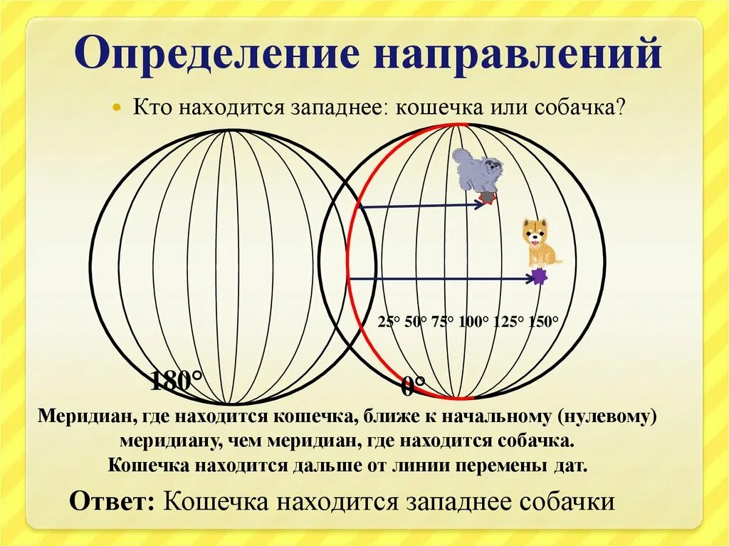 Градусная сетка 5 класс география тест. Кто находится западнее кошечка или собачка. Градусная сетка 5 класс география. География 5 кл градусная сетка. Градусная сетка презентация 5 класс.