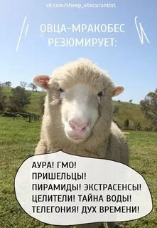 Мракобес
