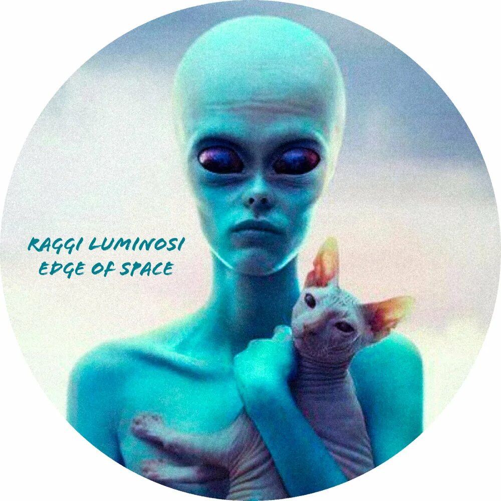 Кот инопланетянин мем. Красивые пришельцы. коты инопланетяне.
