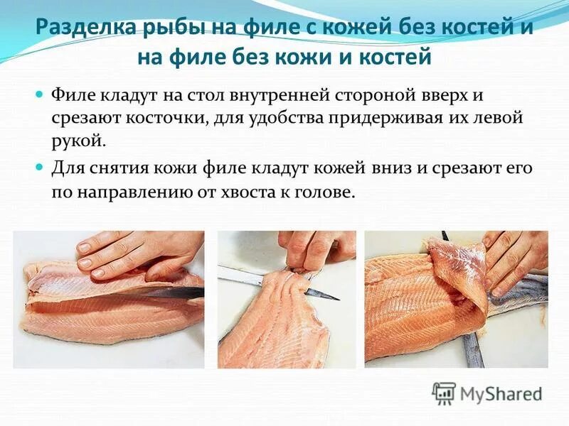 как разделывают кожу. разделка рыбы на филе пластование. чистка и потрошение рыб. как разделывают кожу. как разделывают кожу.