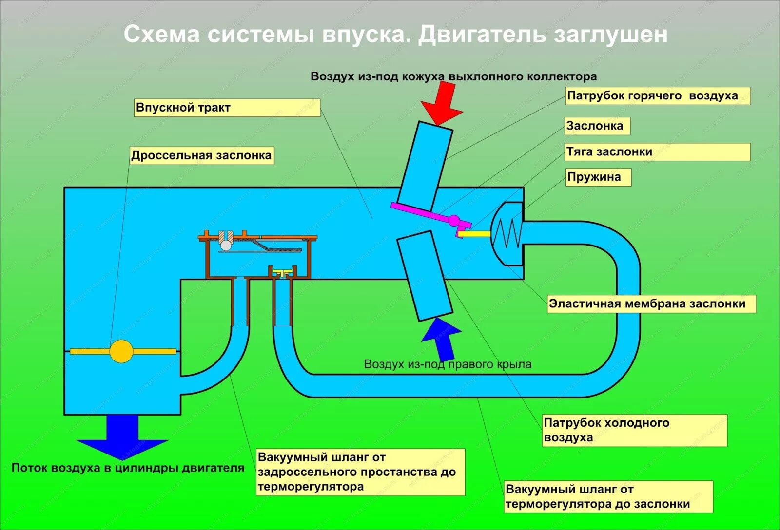 Двигатель всасывает воздух. Система впуска ДВС. Схему система впуска ДВС. Схема система впуска воздуха двигателя. Впуск воздуха в двигатель схема.