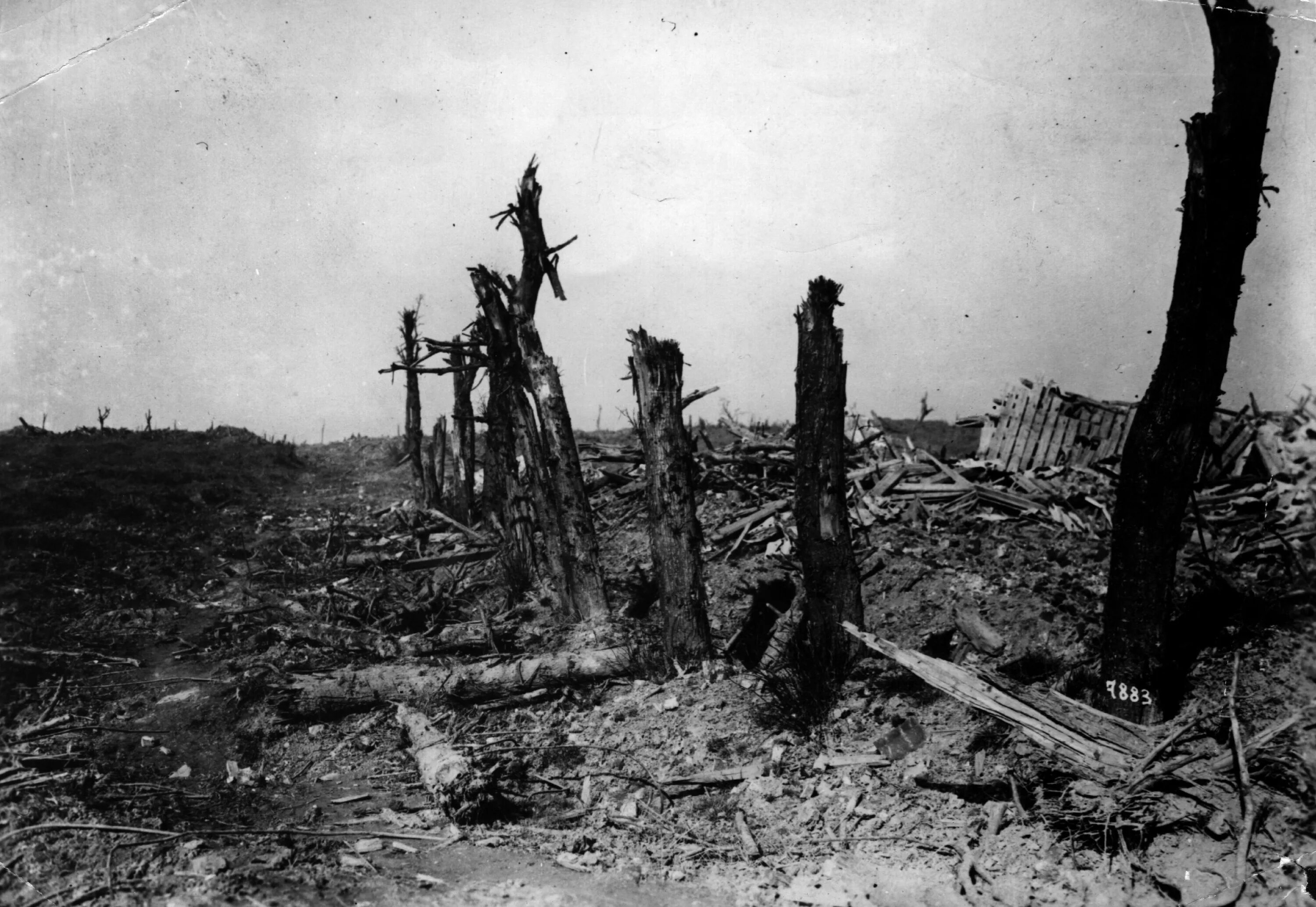 Сражение на реке Сомме 1916. Битва на Сомме первая мировая. Битва на сомме 1916