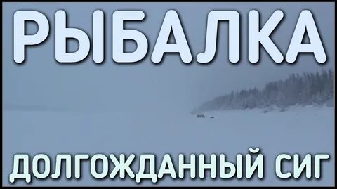 Алеша ушел на рыбалку в 16 часов