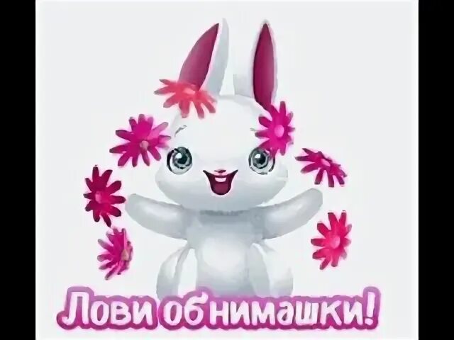 Лови держи