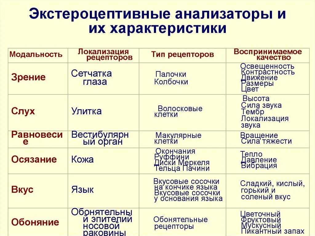 Виды обонятельной информации. Таблица анализатор периферический отдел. Строение анализаторов таблица. Отделы вкусового анализатора таблица. Тактильный анализатор функции таблица.