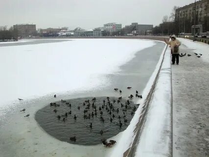 Москва замри