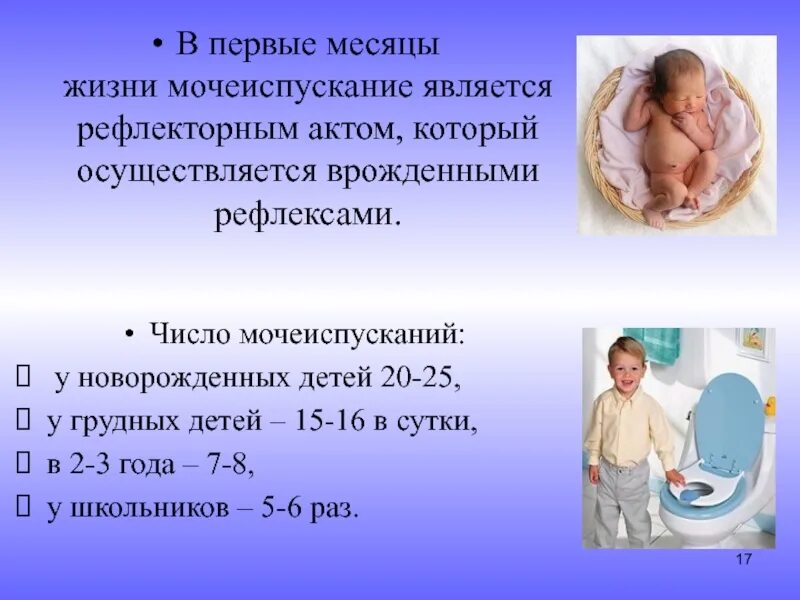 Почему человек мочится