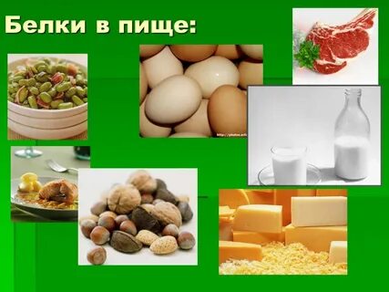 Строительный белок