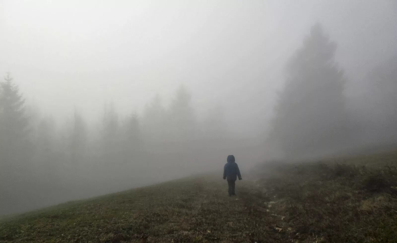 Человек в тумане. Горы в тумане. Лес туман человек. Человек в туманном лесу. Зрение глаза туман