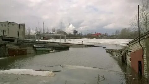 Последний березники
