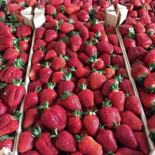 Клубника свежая красноярск