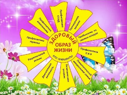 Ромашка здоровья
