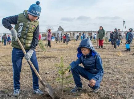 Погода на неделю аал доможаков