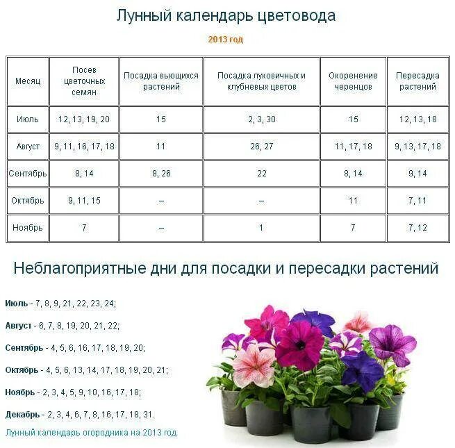 Через сколько нужно пересаживать