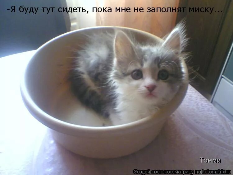 я тут буду сидеть