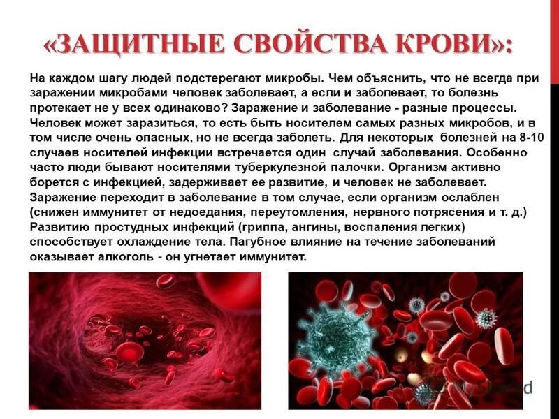 Защитные функции крови иммунитет. Иммунная функция крови. Иммунные свойства крови. Защитные свойства крови.
