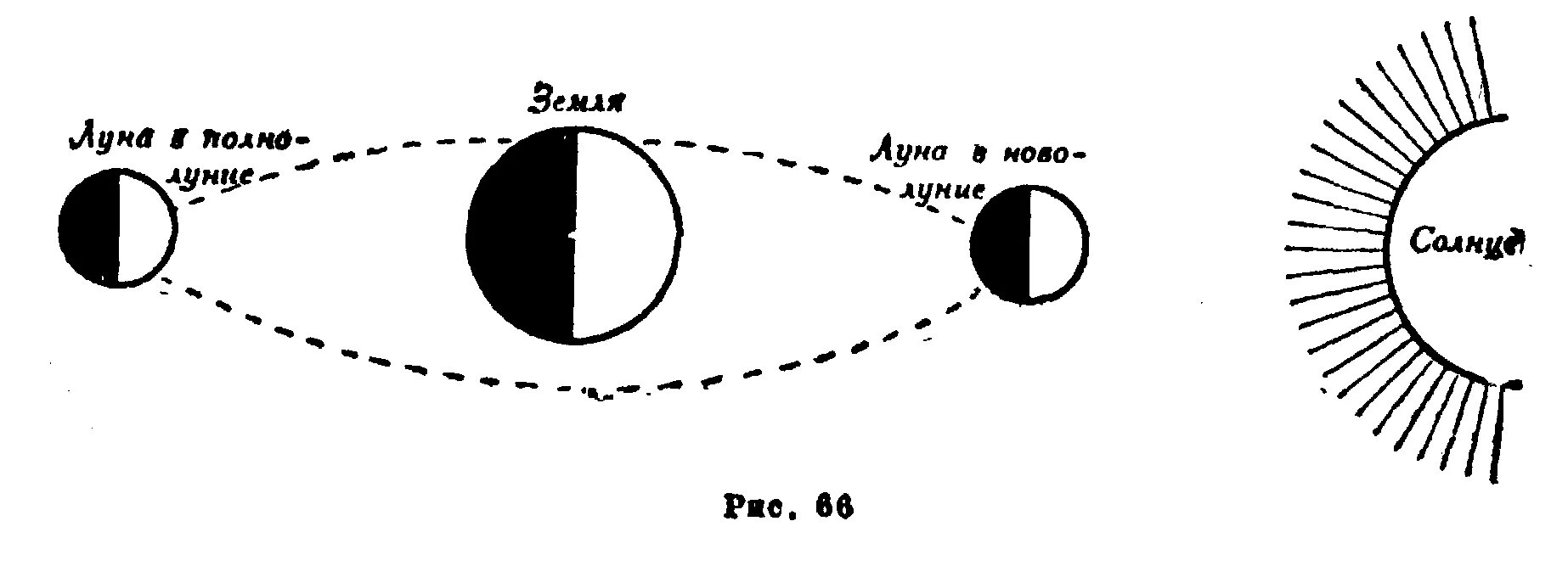 Схема полнолуния. Схема относительного положения солнца земли и Луны в новолуние. Схема относительного расположения солнца земли и Луны в полнолуние. Схема расположения солнце Землии Луны. Новолуние расположение Луны относительно земли и солнца.