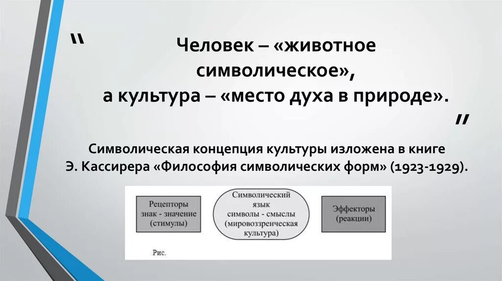 Символическая концепция культуры. Человек символическое животное. Символическая теория культуры. Символическая философия культуры э.Кассирера. Символическая культура природы