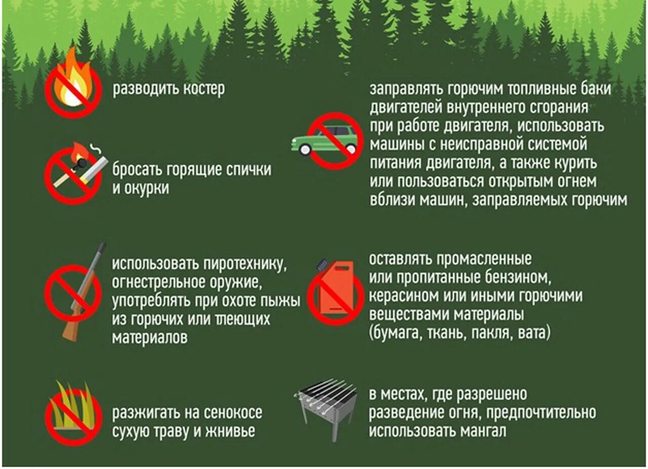 Пожарная безопасность в лесу. Правила пожарной безопасности в лесу. Противопожарные листовки в лесу. Соблюдение правил пожарной безопасности в лесу. Правил пожарной безопасности в лесах 2020