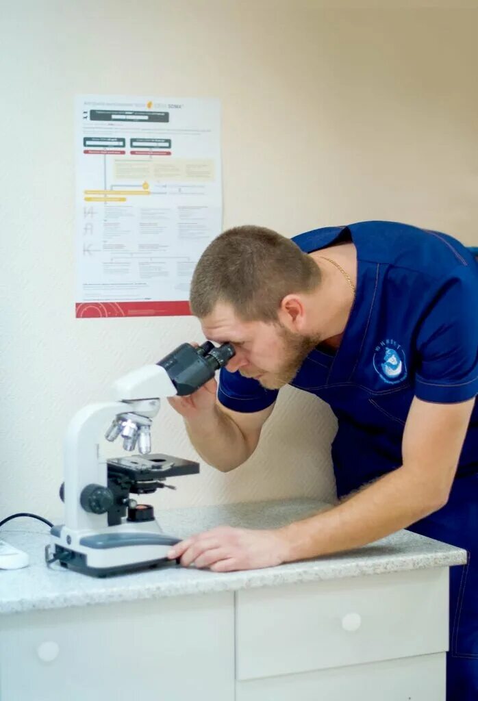 ветеринарная клиника южный хабаровск. краснореченская 211. бетховен хабаровск ветклиника. бонифаций ветеринарная клиника хабаровск. телефон ветеринарной клиники хабаровска.