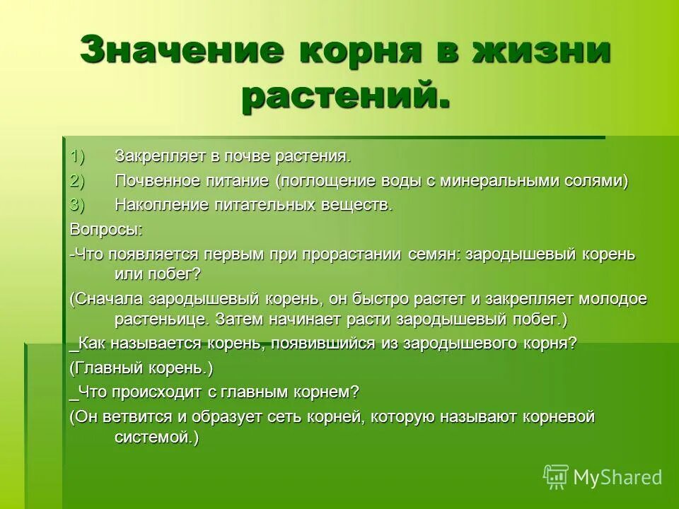 Значение корня. Значение корня для растения. Жизнь растений 6 класс биология кратко